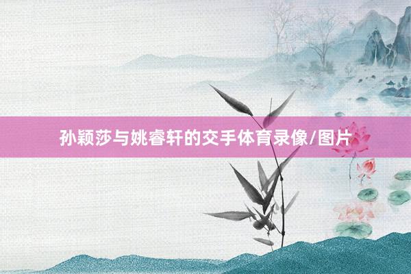 孙颖莎与姚睿轩的交手体育录像/图片