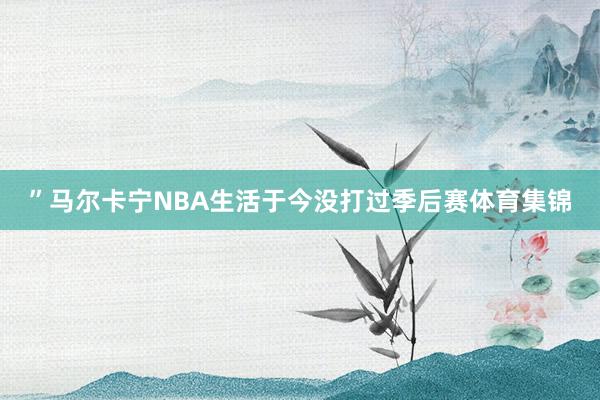 ”马尔卡宁NBA生活于今没打过季后赛体育集锦