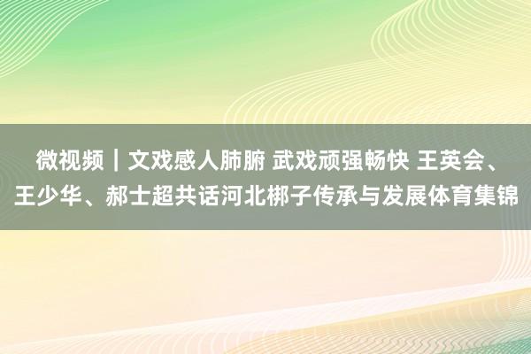 微视频｜文戏感人肺腑 武戏顽强畅快 王英会、王少华、郝士超共话河北梆子传承与发展体育集锦