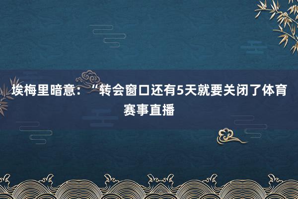 埃梅里暗意:“转会窗口还有5天就要关闭了体育赛事直播
