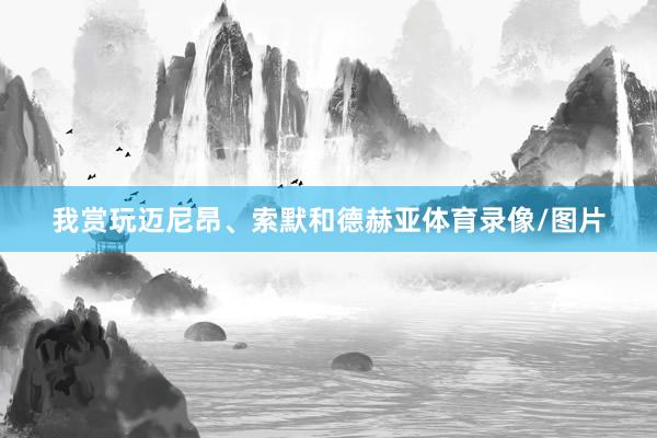 我赏玩迈尼昂、索默和德赫亚体育录像/图片
