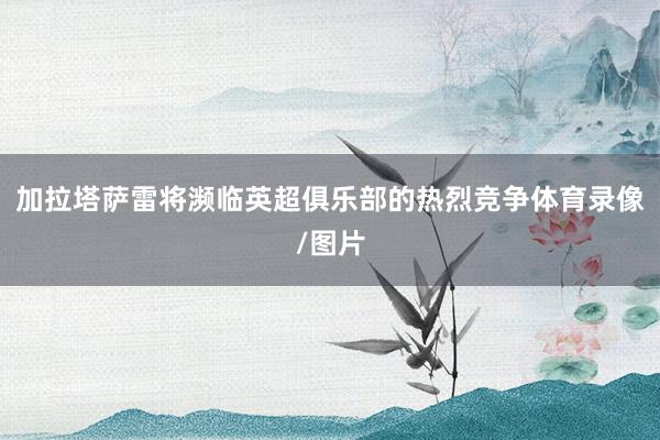 加拉塔萨雷将濒临英超俱乐部的热烈竞争体育录像/图片